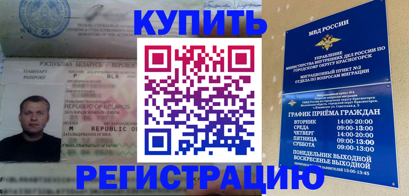 прописка законно в Выборге